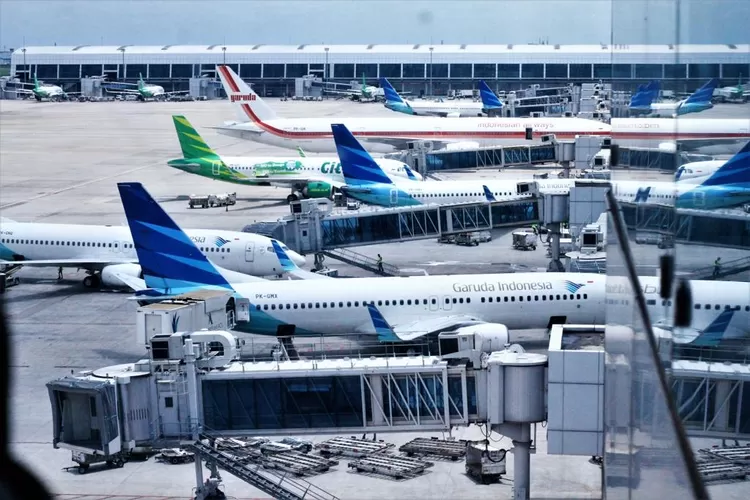 Jasa Kirim Cargo Jakarta Ternate Tercepat 2025